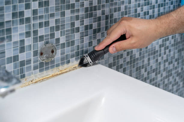 Best Black Mold Remediation in Bangor, WI